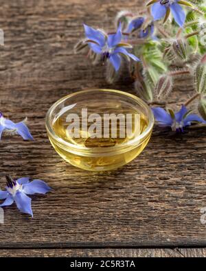 Una ciotola di olio di borragine con pianta di Starflower fresca fiorita Foto Stock