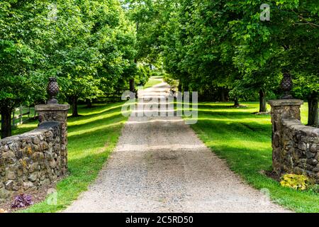 Entrata aperta con cancello con vialetto stradale in campagna rurale in Virginia tenuta con recinto di pietra e strada sterrata ghiaia percorso con verde alberi lussureggianti in s. Foto Stock