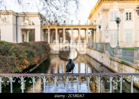 Warszawa Lazienki Royal Baths Park con uccello corvo in palazzo storico sull'edificio dell'isola e luce solare in stagno lago al tramonto a Varsavia, Polonia Foto Stock