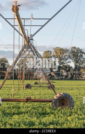 Un sistema di irrigazione semovente o con movimento laterale o a perno centrale o un irrigatore pronto per l'uso su un prodotto agricolo vicino a Mudgee, Australia Foto Stock
