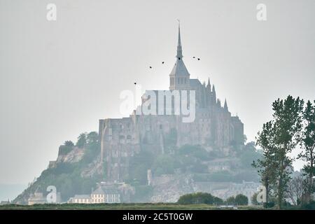 Mont St Michel con corona di gabbiano Foto Stock