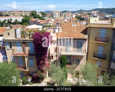 Vista di Cannes dalla torre della città vecchia. Foto Stock