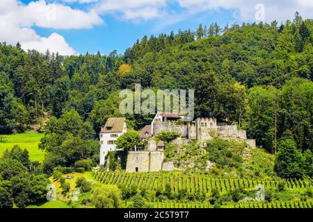 Vista panoramica del pittoresco castello di Trostburg (Teufenthal), a Teufenthal, Canton Argovia. Svizzera. Foto Stock
