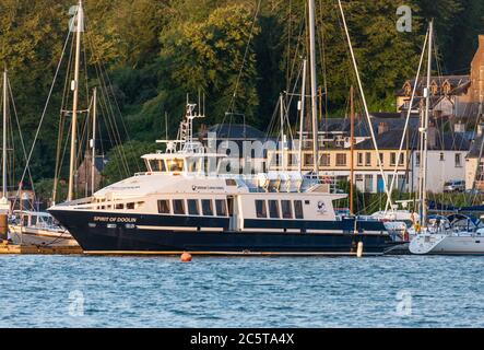 Crosshaven, Cork, Irlanda. 05 luglio 2020. Un nuovissimo traghetto Spirit of Doolin che opererà un servizio tra Doolin e le isole Aran catturati in prima mattina leggero ormeggiato al porto turistico di Crosshaven, Co. Cork, Irlanda dopo essere arrivati dalla Francia. - credito; David Creedon / Alamy Live News Foto Stock