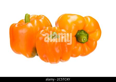 Verdure fresche. Tre peperoni bulgari, varietà arancio, primo piano su sfondo bianco. Foto Stock