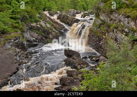 LE CASCATE DI ROGIE RIVER BLACK WATER ROSS-SHIRE HIGHLANDS SCOZIA IN ESTATE LE CASCATE SUPERIORI CON ACQUA CHE SI RIVERSA SULLE ROCCE Foto Stock