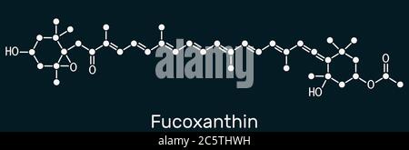 Fuzoxantina, C42H58O6, molecola di xantofilla. Ha proprietà anticancro, antidiabetiche, antiossidanti, neuroprotettive. Formula chimica scheletrica o Foto Stock
