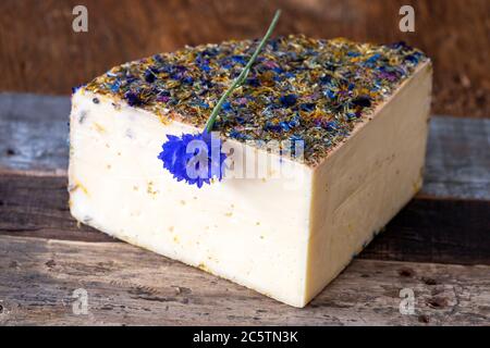 formaggio di montagna con fiori su legno Foto Stock