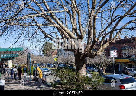 Leura villaggio su un cielo blu inverni giorno nel parco nazionale delle montagne blu, i turisti visitano post covid 19 pandemic, NSW, Australia Foto Stock