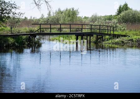 Piccolo ponte pedonale in legno che si specchiava in acqua stagnata in una bella giornata di sole in primavera con cespugli, erba e alberi Foto Stock