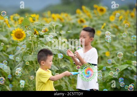 Changsha, la provincia di Hunan della Cina. 5 luglio 2020. I bambini giocano con le bolle in mezzo ai girasoli al villaggio di Qunli di Changsha, capitale della provincia di Hunan della Cina centrale, il 5 luglio 2020. Credit: Chen Zhenhai/Xinhua/Alamy Live News Foto Stock