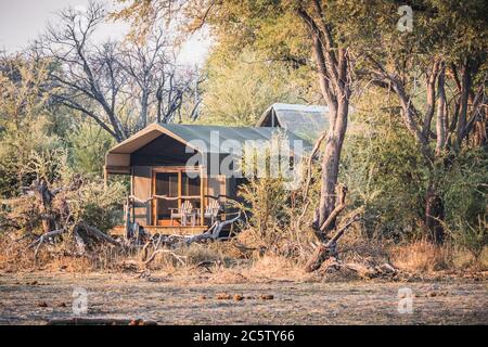 Tenda di Lusso in un accampamento ammaccato nel delta di Okavango vicino a Maun, Botswana, Africa Foto Stock