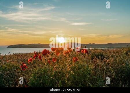 Il sole tramonta sopra la riserva naturale Moenchgut e il villaggio di Gross Zicker visto da Klein Zicker sull'isola di Ruegen Foto Stock