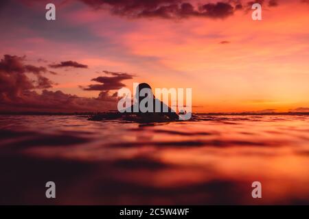 16 aprile 2020. Bali, Indonesia. Surf ragazza relax sulla tavola da surf. Surfisti in oceano durante il surf all'alba o al tramonto. Foto Stock