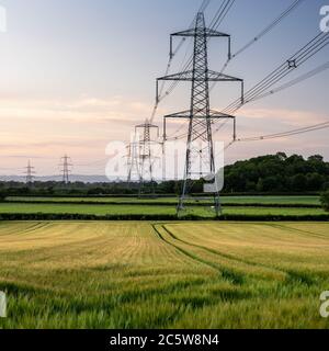 I piloni che trasportano le linee elettriche della griglia nazionale stanno in alto sopra i campi di colture di cereali e pascolo Foto Stock