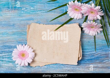 Biglietto d'auguri con carta bianca vecchia e fiori rosa a margherita di Gerbera freschi su sfondo di legno blu Foto Stock