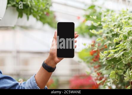 Ragazza afroamericana con smartwatch a mano mostra in macchina fotografica uno smartphone con schermo vuoto su fiori in pentole di sfondo Foto Stock