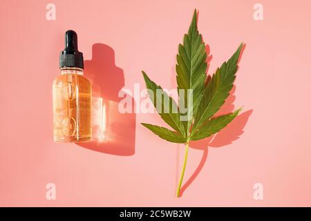 Olio di canapa e foglia di cannabis su sfondo rosa con luce solare naturale. Olio di cannabis sano. Foto Stock