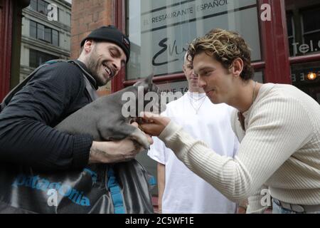 Il quartiere settentrionale di Manchester, che ha molti bar e ristoranti che aprono per la prima volta da quando le regole di blocco del coronavirus sono state attenuate. Manchester. L'attore Joe Gilgun (a sinistra) con il suo cane toro francese su Tib Street, quartiere nord di Manchester. Lyndon Higginson proprietario della Bay Horse Tavern, Wolf at the Door e cane & Grain, Thomas Street, Northern Quarter, Manchester. Foto Stock