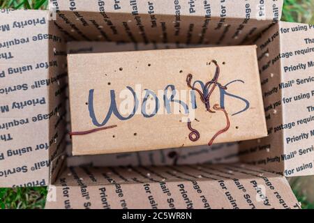 Herndon, USA - 29 aprile 2020: I worm firmano sulla scatola di consegna del pacchetto come posta prioritaria da USPS per la torre di compost del contenitore del giardino e nessuno Foto Stock