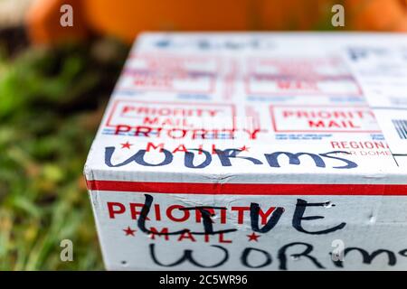 Herndon, USA - 29 aprile 2020: Live Worms firma sulla scatola di consegna del pacchetto come posta prioritaria da USPS per la torre di compost del contenitore del giardino e nessuno Foto Stock
