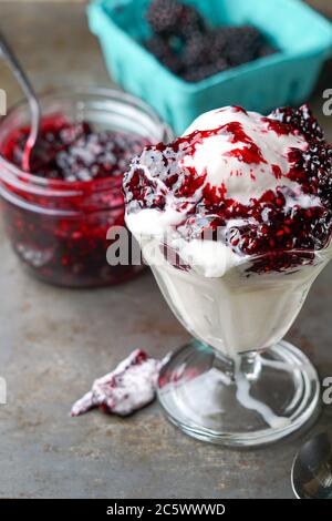 Gelato alla vaniglia con salsa al lampone Foto Stock