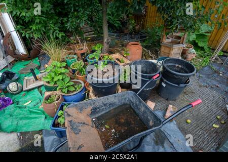 Giardino posteriore o cortile con carriola e secchi in costruzione Foto Stock