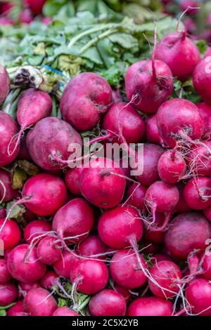 Mazzi di ravanelli in vendita su uno stallo del mercato Foto Stock