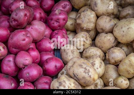 Patate rosse e bianche su una bancarella di mercato Foto Stock