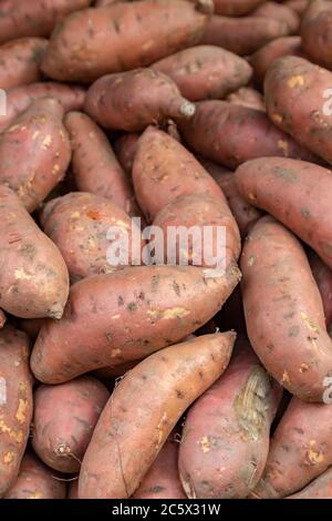 Una fotografia a cornice completa di patate dolci su una bancarella di mercato Foto Stock