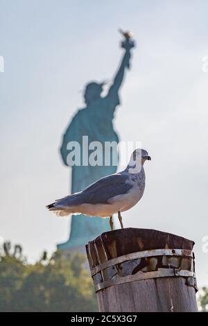 Un gabbiano arroccato su un palo di legno, con la Statua della libertà alle spalle Foto Stock