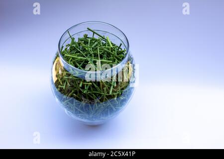 Primo piano di un vaso di vetro contenente erbe fresche di erba cipollina appena essiccate, su sfondo bianco Foto Stock