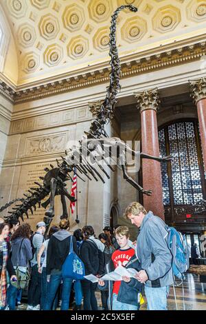 New York City,NYC NY Manhattan,Uptown,Central Park West,American Museum of Natural History,mostra collezione scienza,educazione,fossile,ossa Foto Stock