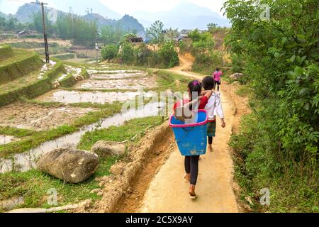 I bambini di minoranza etnica lavorano nel campo del riso a Sapa, Lao Cai, Vietnam in una giornata estiva Foto Stock