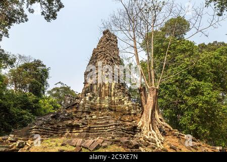 Preah Palilay tempio rovine è Khmer antico tempio nel complesso Angkor Wat a Siem Reap, Cambogia in un giorno d'estate Foto Stock