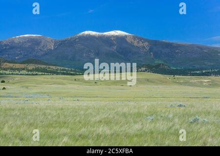 monte baldy nelle montagne della grande cintura vicino a townsend, montana Foto Stock