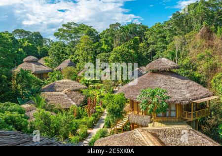 Amazzonia foresta pluviale Lodge in estate, Yasuni parco nazionale, Ecuador. Foto Stock