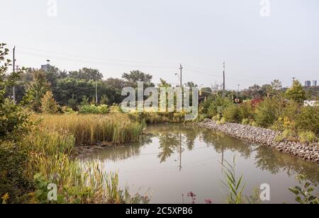 Muratura Evergreen Foundation Foto Stock