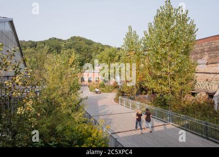Muratura Evergreen Foundation Foto Stock