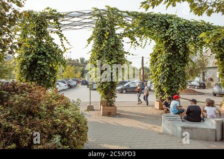 Muratura Evergreen Foundation Foto Stock
