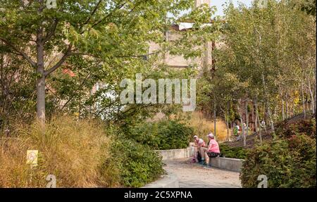Muratura Evergreen Foundation Foto Stock