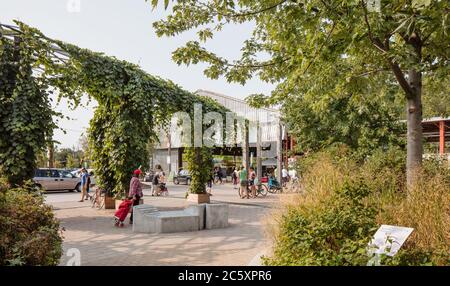 Muratura Evergreen Foundation Foto Stock
