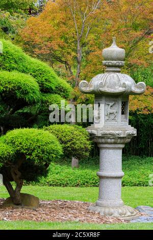 Japanese Tea Garden, Golden Gate Park, San Francisco, California, Stati Uniti Foto Stock