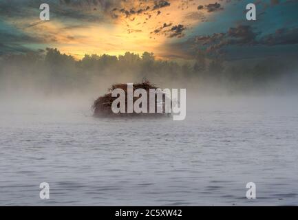 Un cieco di anatra nebbiosa nella nebbia, su un piccolo stagno in Michigan USA con un bel sorgere del sole Foto Stock