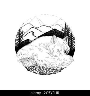 Disegnata a mano Wolf, disegna la grafica illustrazione in bianco e nero su sfondo bianco (originali, senza tastatura) Foto Stock