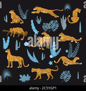 Set di leopardi in varie pose, piante, fiori, esotico, grafica cute stile tendenza, mammifero predatore, giungla Illustrazione Vettoriale