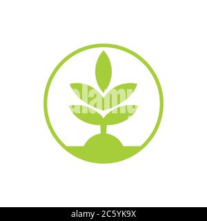 Semplice e geometrica pianta verde del logo a forma di cerchio vettore Illustrazione Vettoriale