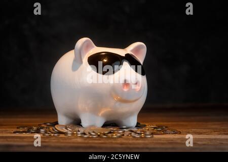 accumulo di denaro. airbag finanziario. banca piggy con monete Foto Stock