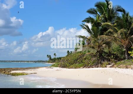 La vista sulla splendida spiaggia tropicale nel Parco Nazionale Est, vicino a Bayahibe, Dominikana Republic Foto Stock