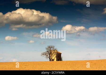 Vecchia colombaia in un campo, Puy de Dome, Auvergne-Rodano-Alpi, Francia Foto Stock